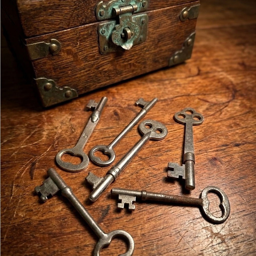 Curated Collection of Antique Hollow Barrel Skeleton Keys – Set of 6